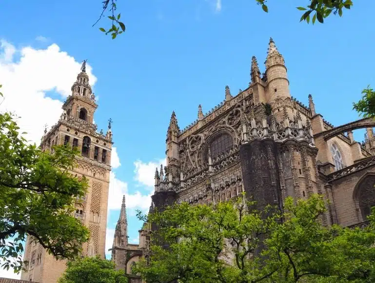 catedral de sevilla donde comer cerca sin trampas turisticas