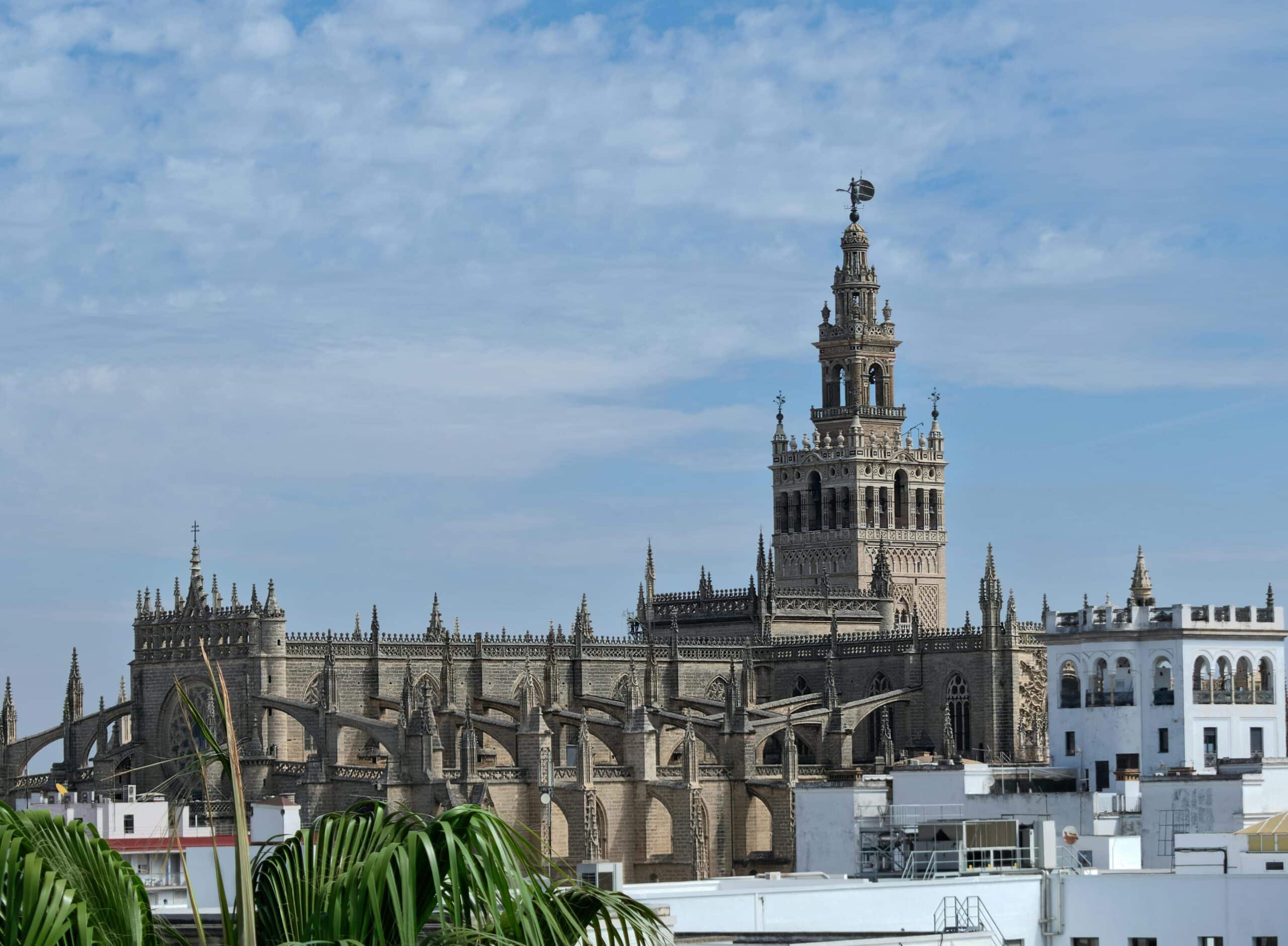 Comer en Sevilla en verano disfrutando de platos frescos en una terraza del centro