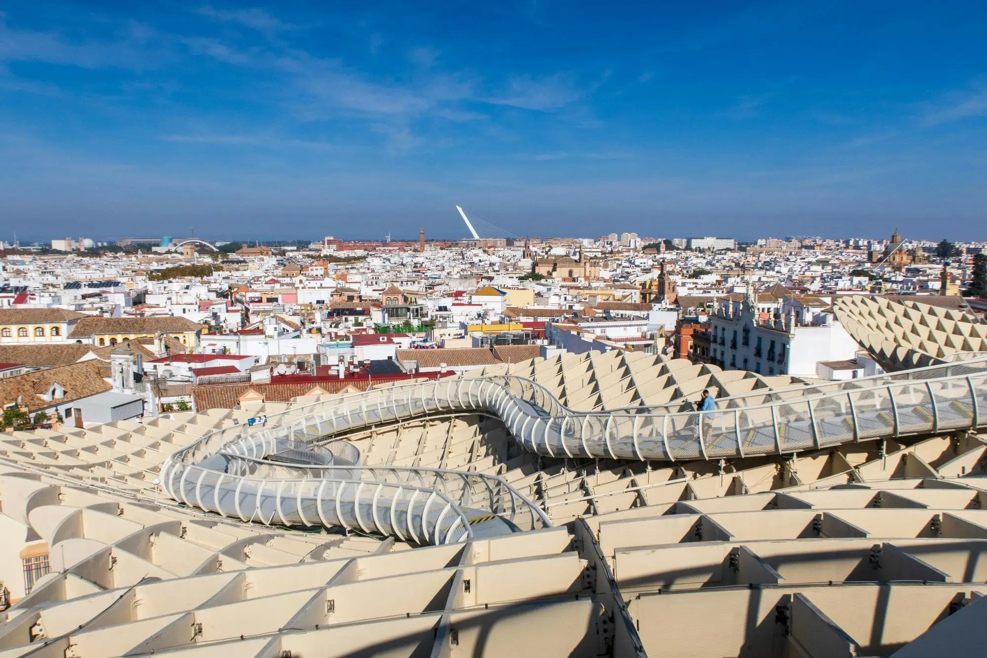 bares modernos en la Alameda de Hércules