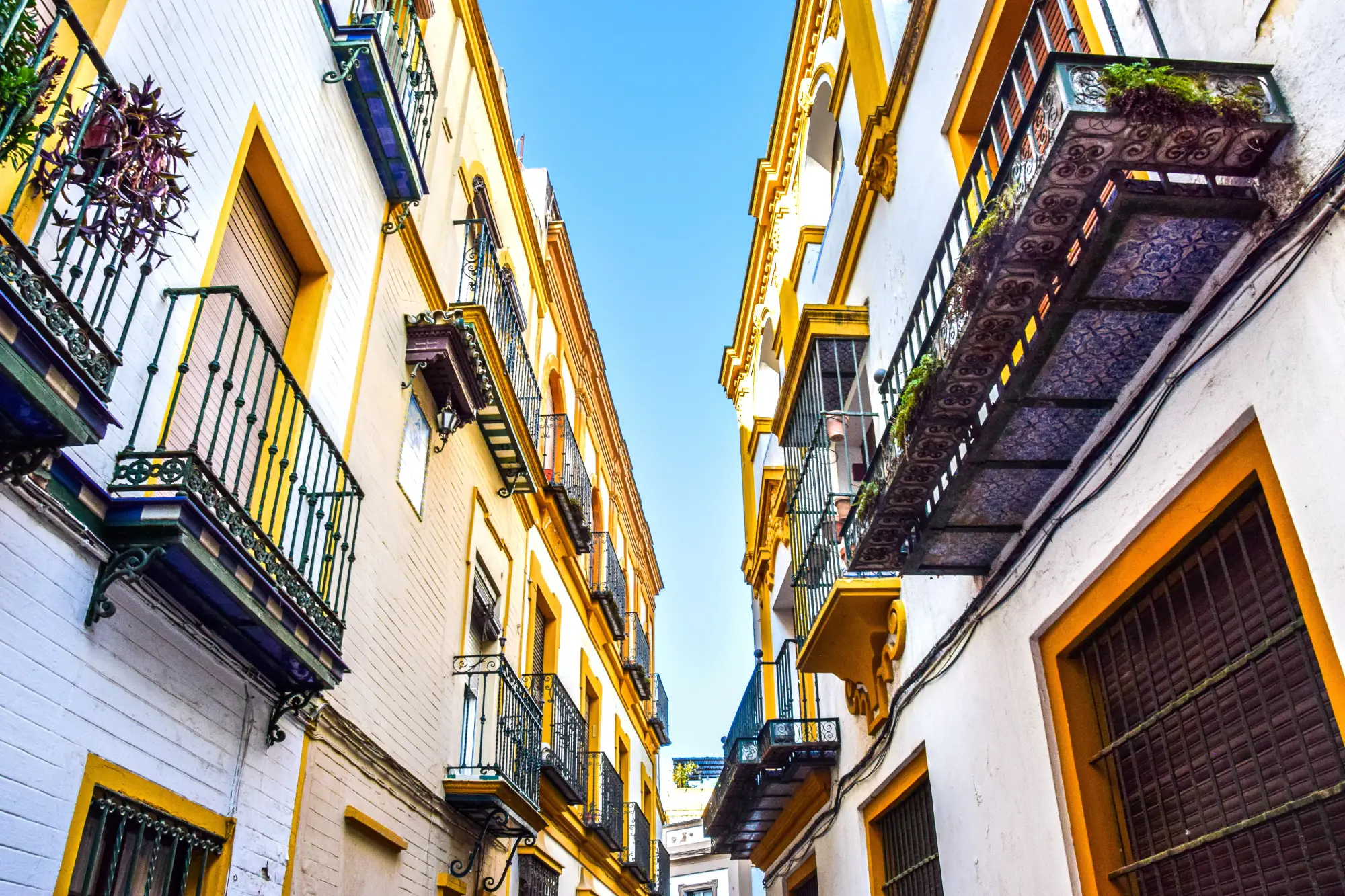 calle y bares tradicionales en el barrio de la Macarena
