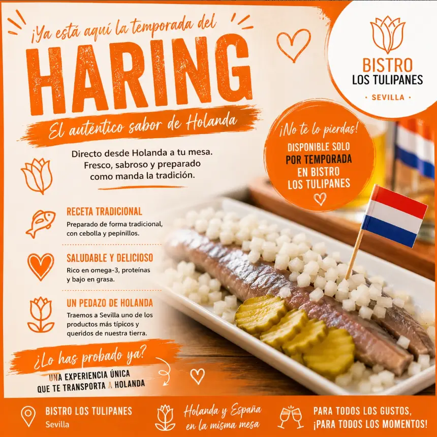 comparación de preparaciones de arenque, Haring holandés