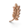 Kaasplank  
